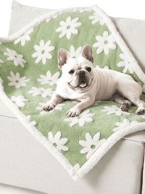 Lesure Green Sherpa Pet Blanket with White Daisies Size: Medium (30”x 40”)